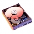 WESTERN DIGITAL HD SERIAL 320GB UDMA 300 7200RPM 8MB OEM